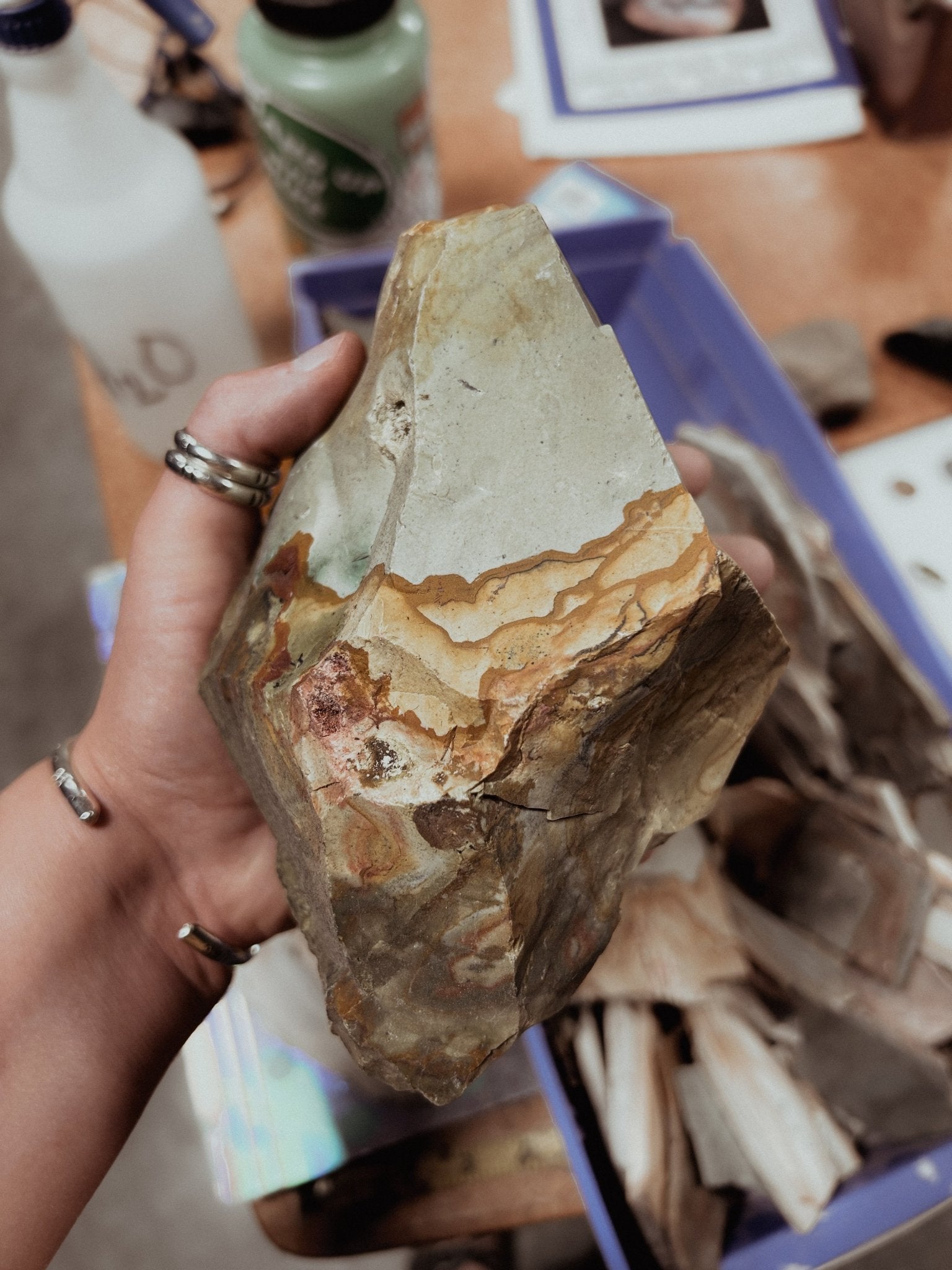 Picture Jasper + Silver Dot Statement Earrings - Third Hand Silversmith LLC handmade jewelry, Bozeman, Montana